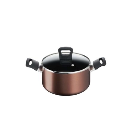 Tefal Stockpot 22cm W/Lid Day by Day