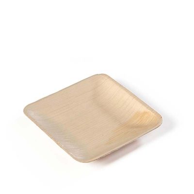 Sier Palm Dish Square