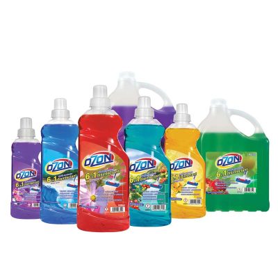 Ozon 6-in-1 Disinfectant Cleaners