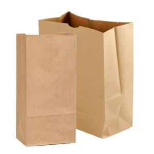 Grocery Bag Kraft